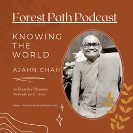 Knowing The World | Ajahn Chah