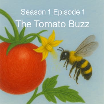 The Tomato Conspiracy