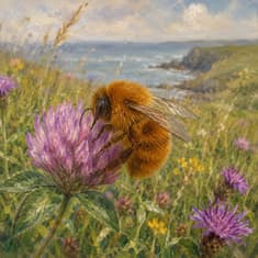 What One Irish Town Taught the World About Saving Bumblebees