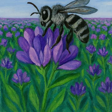 Alfalfa's $8 Billion Problem