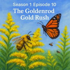 The Goldenrod Gold Rush