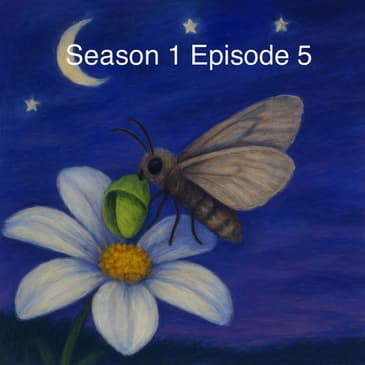 The Night Shift Conspiracy - Moths