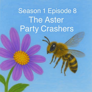 The Aster Party Crashers