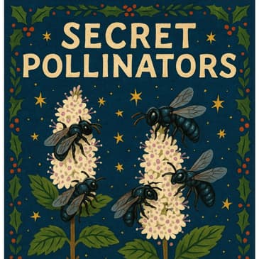 The Peppermint Secret