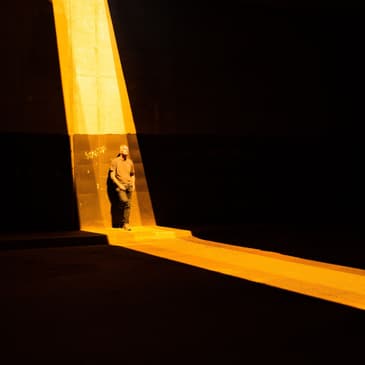 22. The Truth Will Set You Free: John's Gospel Part 4