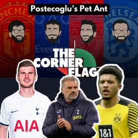 Postecoglu's Pet Ant