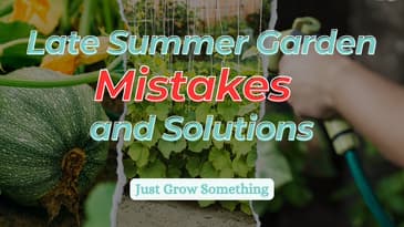 Solving Problems in the Late Summer Garden - Ep. 264