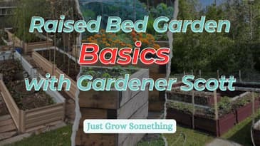Raised Bed Gardening Basics with Gardener Scott - Ep 268