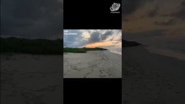 Gorgeous Sunrise! A Solo Spring Adventure in the Galápagos  with Globe Aware ( Clip 11)