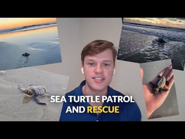 Ep. 28  Sea Turtle Patrol and Rescue - Brett Lozowski