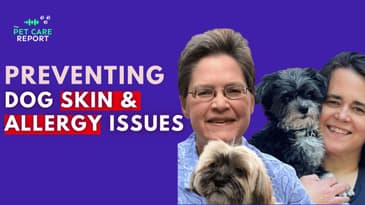 Preventing Dog Skin & Allergy Issues