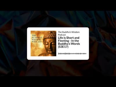 Life is Short and Fleeting - In the Buddha’s Words (S3E17) | The Buddha’s Wisdom Podcast
