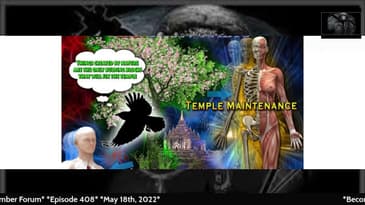 Using Building Blocks from Nature to Repair the Temple -  the Only Way