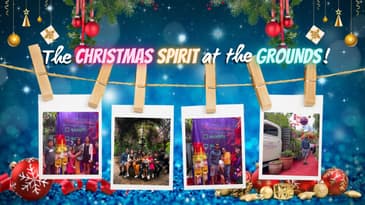 Christmas Spirit at the Grounds Sydney - Barok and Takya's Family feel the Love