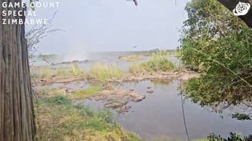 A Room With A View! Zimbabwe Game-Count Special with Globe Aware (2023)