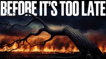 How To Make Your Home Safe From Wildfires Fast