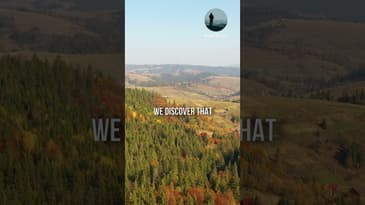 Live A Life Of Gratitude And Trust #Gratitude #Faith #DailyFaith