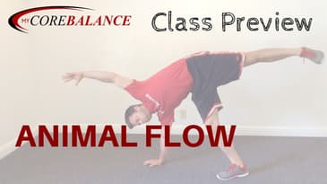 animal flow class preview