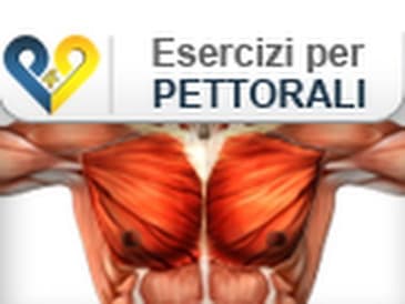 Esercizi Pettorali : Flessioni