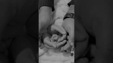 On 31st December 2024 our lives changed forever ♥