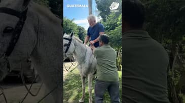 Family Horse Back Riding! Globe Aware Guatemala