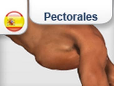 Flexiones Hindu - como hacer super pectorales de Acero