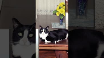 ￼ Here’s Mr. Benson! ￼