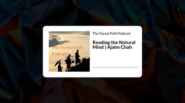 Reading the Natural Mind | Ajahn Chah | The Forest Path Podcast