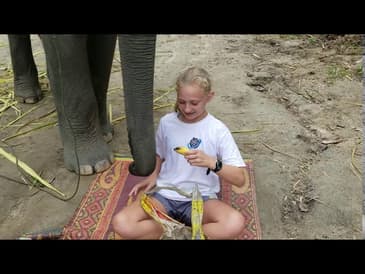 Feed Elephants in Thailand! Globe Aware Virtual Travel