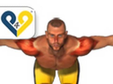 Alzate laterali busto inclinato