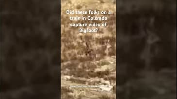 Actual Bigfoot footage? #bigfoot #sasquatch #cryptids #tinfoiltales