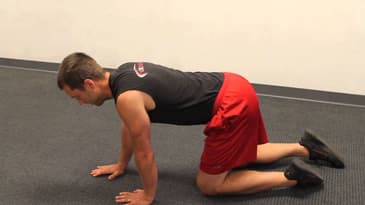 Baby Crawl - Beginner