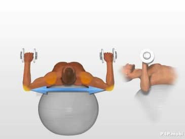 Exercice Developpe Avec Haltere Sur Ballon