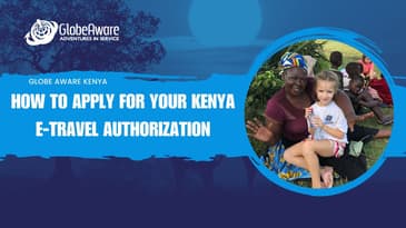 How To Fill Out The E-Travel Authorization For Kenya (Globe Aware Summer 2024)