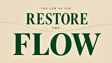 What You Don’t Use Begins to Use You: The Law of Use