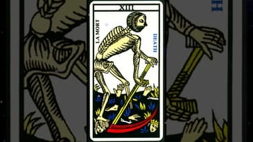 XIII. The Death Card (Marseille Tarot)
