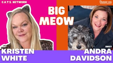 195: Better Than Before Divorce with Andra Davidson