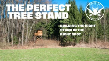 Building The Perfect Tree Stand