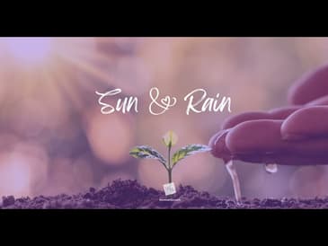 Sun and Rain [RE-POST 2025]
