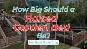 How Big Should a Raised Bed Be? - EP 265