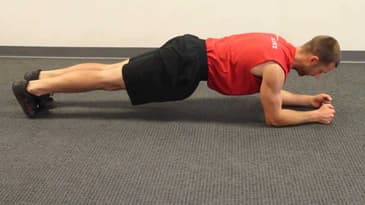 Plank From Elbows