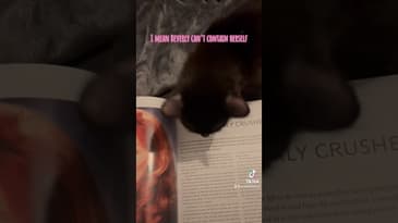 How many times can I say excited? 😂 #startrektng #startrek