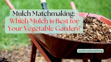 What's the Best Mulch for a Vegetable Garden? - Ep 302