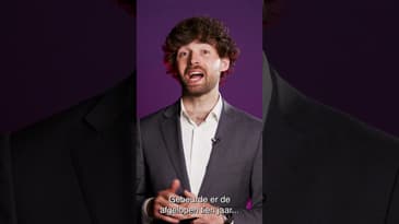 Wat is het handhavingsmoratorium op de wet DBA?