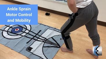 Ankle Sprain Motor Control and Mobility