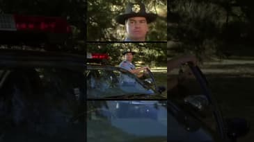 That one *unforgettable* element that elevated 'Me, Myself & Irene' beyond just Jim Carrey? 🤯