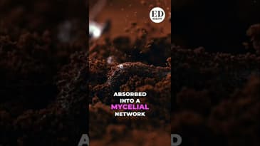 A Water Droplet's Epic Skydiving Adventure! #shorts