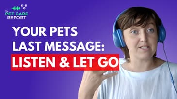 What Your Pet Wants You to Know Before They Go