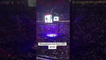 The Shrewdness live from UFC 317!!!!