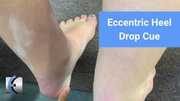 Achilles Tendinopathy Exercise: Eccentric Heel Drop Cue